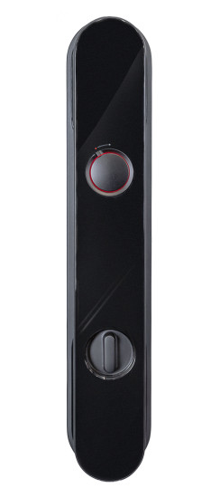 Электронный дверной замок Aqara D100 Zigbee Edition | Прочное стекло и металл с износостойким напылением, Черный, 393.8 мм*74.2*58,6мм