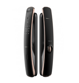 Биометрический электронный замок с распознаванием лица Kaadas K13F (gold)