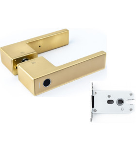 Дверной замок Gimmel F11 TTLock Золотой