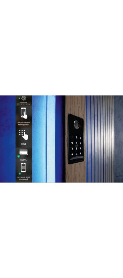 Комплект СКУД №3: Биометрический считыватель Dircode + электромоторный замок Dircode
