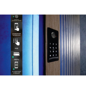Комплект СКУД №3: Биометрический считыватель Dircode + электромоторный замок Dircode