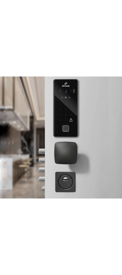 Электромоторный замок с биометрической панелью с Face ID