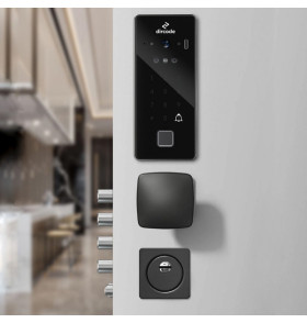 Электромоторный замок с биометрической панелью с Face ID