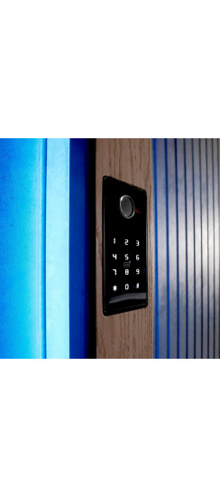 Комплект СКУД №1: Биометрический считыватель Dircode + электромоторный замок Mottura X Nova