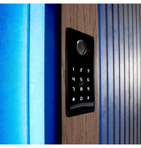 Комплект СКУД №1: Биометрический считыватель Dircode + электромоторный замок Mottura X Nova