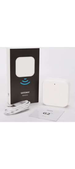 Комплект СКУД №1: Биометрический считыватель Dircode + электромоторный замок Mottura X Nova