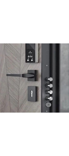 Электромоторный замок с биометрической панелью с Face ID