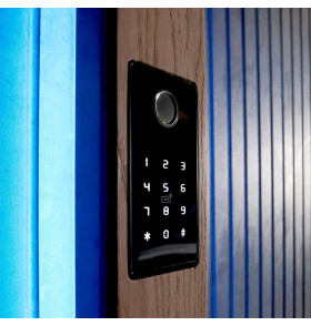 Комплект СКУД №2: Биометрический считыватель Dircode + электромеханический замок ALABAY Latch 72.16-U