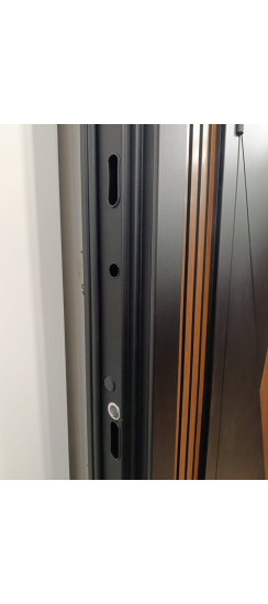 Стальная дверь "Plata" | Порошковое покрытие 