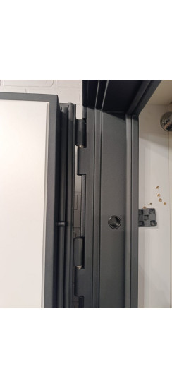 Стальная дверь "Plata" | Порошковое покрытие 