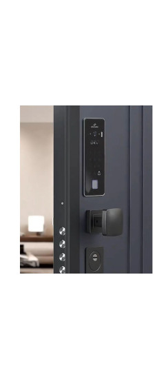 Электромоторный замок с биометрической панелью с Face ID