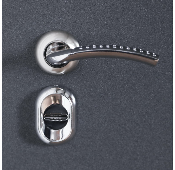 Стальная дверь "Антарктида" (терморазрыв 3к) | Порошковое покрытие 