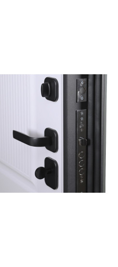 Стальная дверь "Scandi" | Порошковое покрытие 