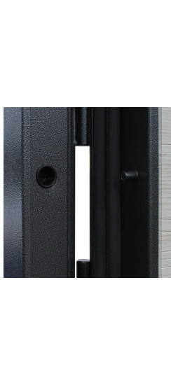 Стальная дверь "Next 1" с зеркалом | Порошковое покрытие 