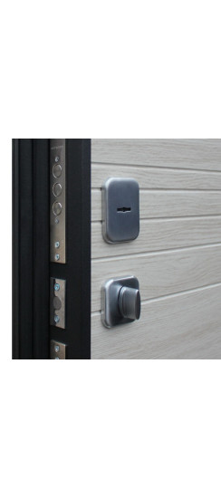 Стальная дверь "Next 2" | Порошковое покрытие 