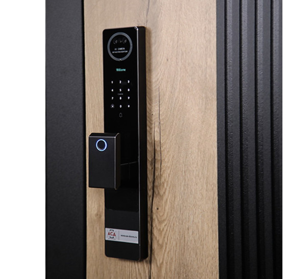 Стальная дверь «Конструктор» (биометрический замок Smart lock Y12) | Порошковое покрытие 