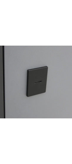 Стальная дверь "Бриг с зеркалом" | Порошковое покрытие 