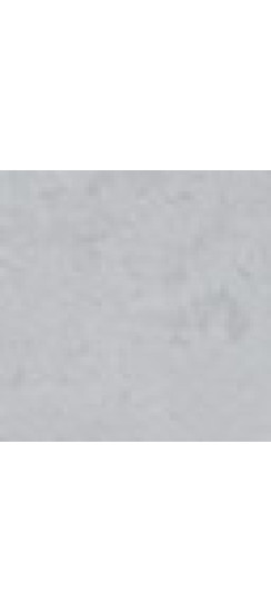 Стальная дверь  "Беркут" с зеркалом | Порошковое покрытие 