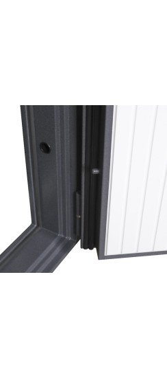 Стальная дверь "Беркут" магазина "АСД" | Порошковое покрытие 