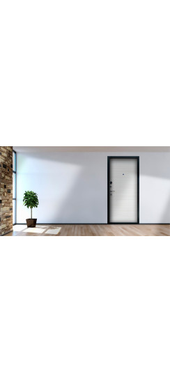 Стальная дверь "Next 1" | Порошковое покрытие 