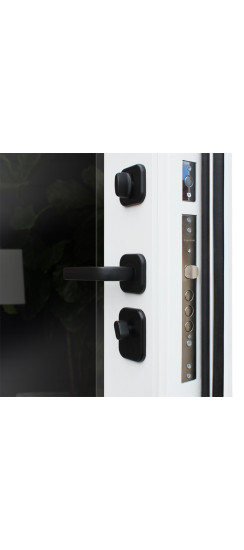 Стальная дверь "Ливерпуль с зеркалом" | Порошковое покрытие 