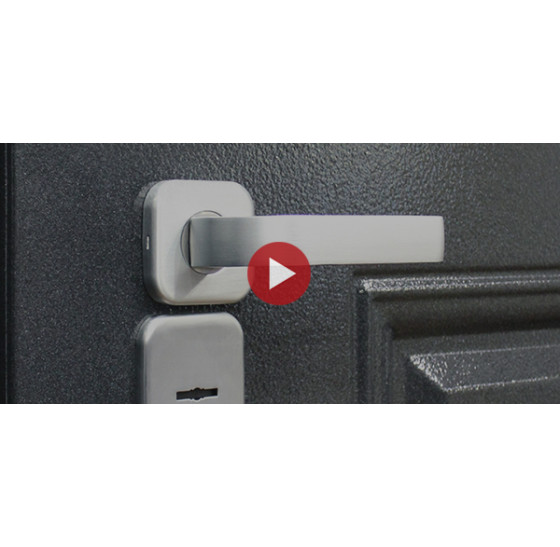 Стальная дверь "Диксон" (терморазрыв 3к) | Порошковое покрытие 