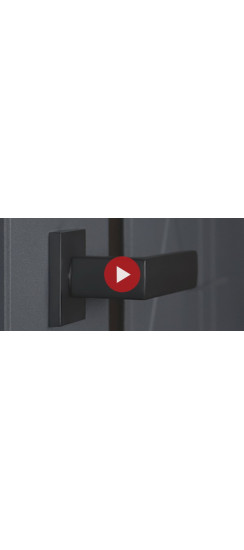 Стальная дверь "Forest" с зеркалом | Порошковое покрытие 