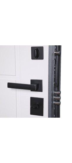 Стальная дверь "Vegas" | Порошковое покрытие 