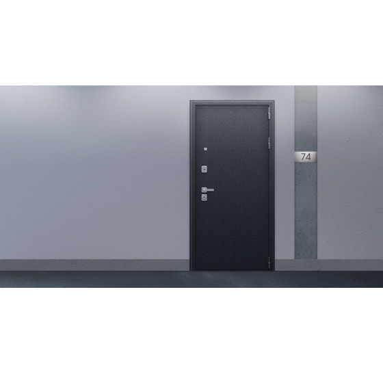 Стальная дверь "Спартак Б" с зеркалом | Порошковое покрытие 