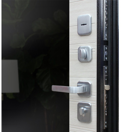 Стальная дверь "Спартак" с зеркалом | Порошковое покрытие 