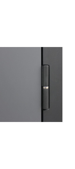 Стальная дверь "Бриг с зеркалом" | Порошковое покрытие 