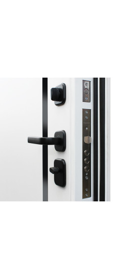 Стальная дверь «Ливерпуль» | Порошковое покрытие 