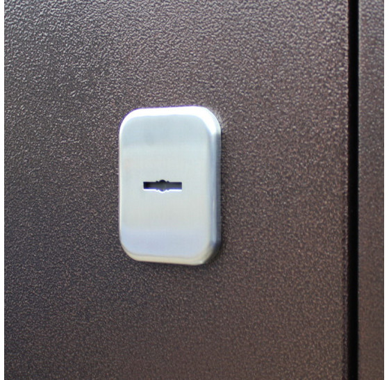 Стальная дверь "Спартак" для Вашего дома | Порошковое покрытие 