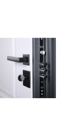 Стальная дверь "Гермес Неоклассика" | Порошковое покрытие 