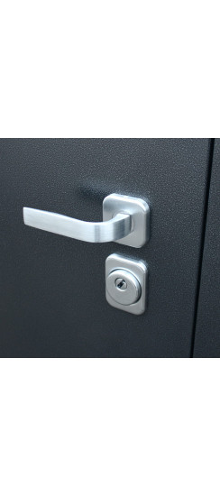 Стальная дверь "Next 1" с зеркалом | Порошковое покрытие 