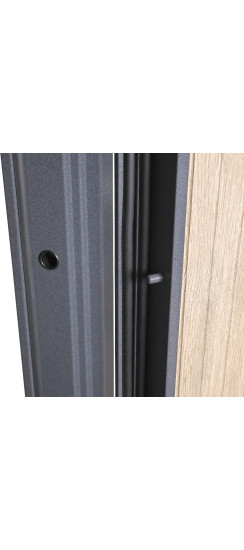 Стальная дверь "Беркут" магазина "АСД" | Порошковое покрытие 