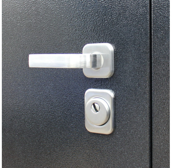 Стальная дверь "Спартак Б" от фирмы Ателье Стальных Дверей | Порошковое покрытие 