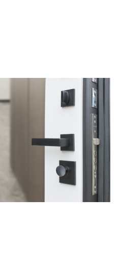 Стальная дверь "Velvet" с зеркалом | Порошковое покрытие 