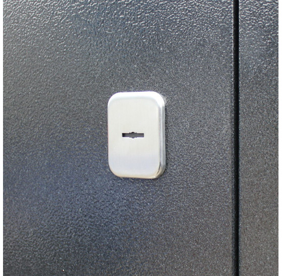 Стальная дверь "Спартак Б" от фирмы Ателье Стальных Дверей | Порошковое покрытие 