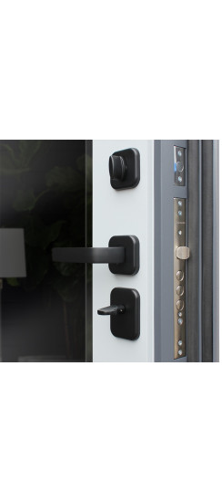 Стальная дверь "Манчестер" с зеркалом | Порошковое покрытие 