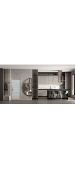 Стальная дверь "Техно XN 99" | Порошковое покрытие 