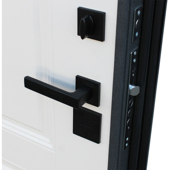 Стальная дверь "Арктика" (терморазрыв 3к) | Порошковое покрытие 