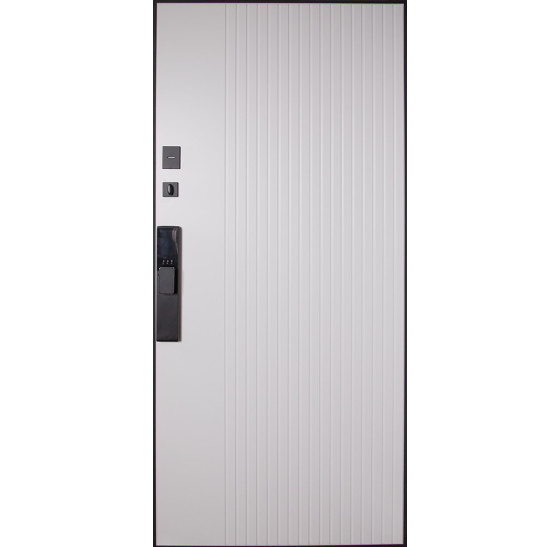 Стальная дверь «Конструктор» (биометрический замок Smart lock Y12) | Порошковое покрытие 