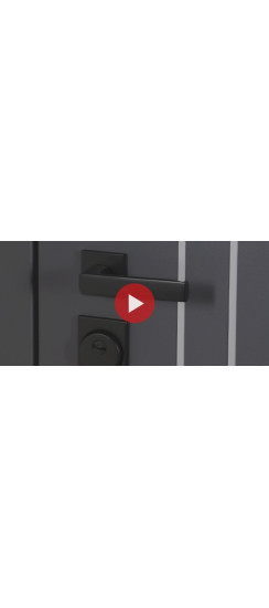 Стальная дверь "Vegas" | Порошковое покрытие 