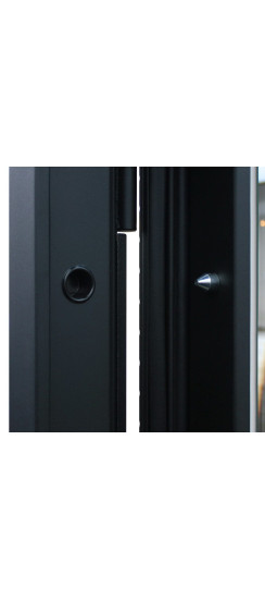 Стальная дверь "Ньюкасл" с зеркалом | Порошковое покрытие 