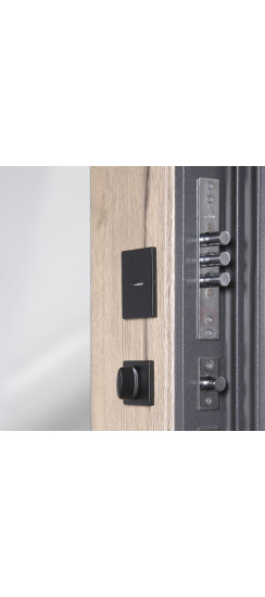 Стальная дверь  "Беркут" с зеркалом | Порошковое покрытие 