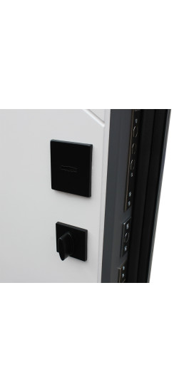 Стальная дверь "Дуэт Б" | Порошковое покрытие 