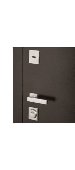 Стальная дверь "Лидер" | Порошковое покрытие 