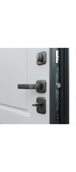 Стальная дверь "Барселона" | Порошковое покрытие 