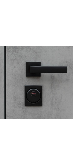 Стальная дверь "Дуэт Б" с зеркалом | Порошковое покрытие 